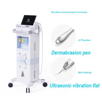 China V-MAX RF Tanning Noninvasive Ultrasonic Skin Tightening Facial Skin Care Beauty Equipment for sale