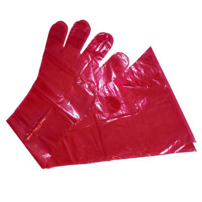 Chine Super sensitive Bovinos Vaca inseminacio Gants Vtrinaires long veterinary disposable gloves à vendre