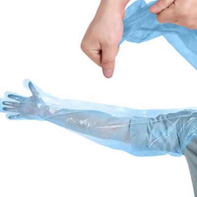 China Shoulder Length Long Sleeve Full Arm Plastic Gloves for Veterinary Gloves for sale