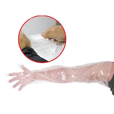 China Veterinary equipment Goat Artificial Veterinaria Disposable PE Elbow Length Gloves for sale