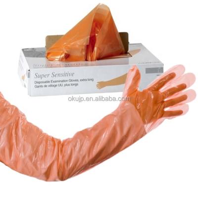 China artificial insemination equipment Veterinary Insemination Rectal Full Arm Long Gloves For Veterinary Cow Gloves for sale