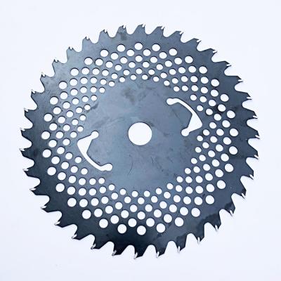 China Body With Holes 250mm High Quality 10 Inch Tungsten Carbide CTT Saw Blade For Bush Grass Cutting for sale