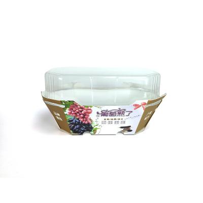 China Recyclable Paper Food Cookie Blister Pack Custom Logo Fruits Friendly Tray Plastic Package for sale