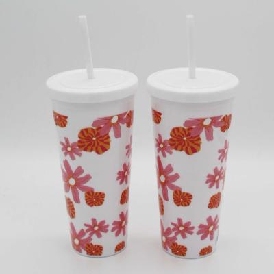 China Insulated Plastic Tumblers Stocked With Straw And Lid , BPA FREE Double Wall Vacuum Plastic Water Bottle for sale