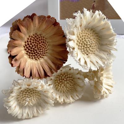 China Designs Supply Dried Flowers High Quality Sunflower Christmas Decoration Flower Africa Dried Sunflower for sale