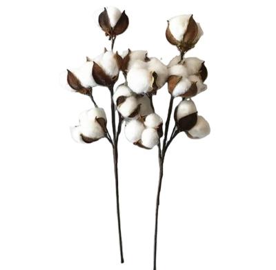 China 2020 hot sale Yunnan natural touch cheap dry flower dried cotton for wedding decoration for sale