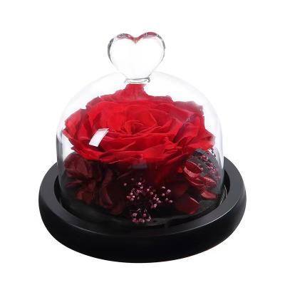 China Hot Sale Natural Preserved Rose In Glass Dome With True Natural Touch Gift Box For Valentine's Day Gifts Wedding Decoration for sale