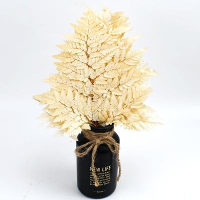 China Natural Touch 2020 Popular Ins Best Preserved Fern For Wedding Decoration for sale