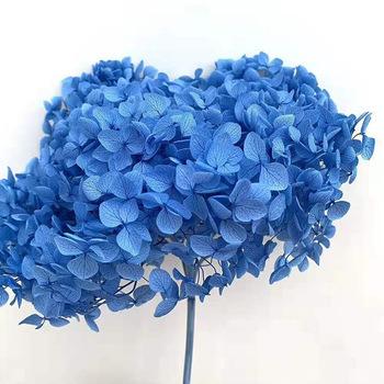 China 2020 Hot Selling Natural Touch Yunnan Preserved Hydrangea For Wedding Decoration for sale