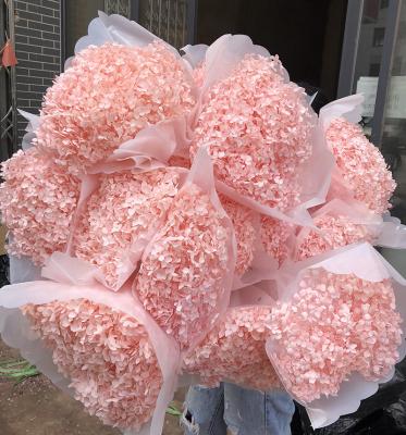 China Decorations most popular natural flowers preserved hydrangea flowers for flower arrangement for sale