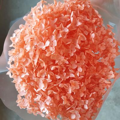 China 2020 contact Yunnan most popular natural preserved hydrangea for home wedding decoration for sale