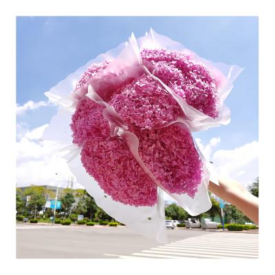 China Hot Selling Cheap High Quality Preserved Flower INS Preserved Flower Anna Hydrangea For Decoration for sale