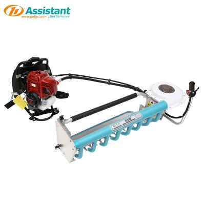 China Tea Leaf 4 Stroke 35CC Mini Tea Plucking Machine Harvester Kawasaki Plucker Supplier DL-4C-H3 for sale