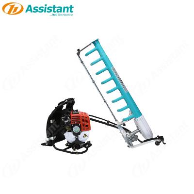 China Tea Leaf 25.4CC 2 Stroke Backpack India Plucking Machine For Tea Leaf Plucker DL-4C-S for sale