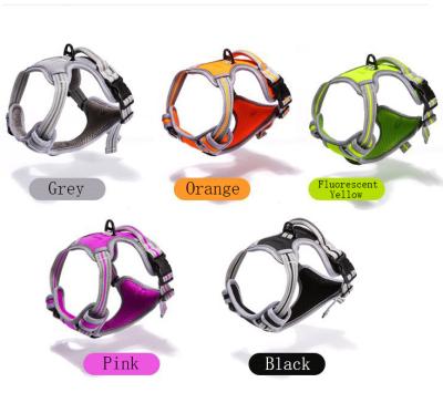 China Amazon Hot Sale Padded High Quality Professional Adjustable Reflective Dog Collar for sale