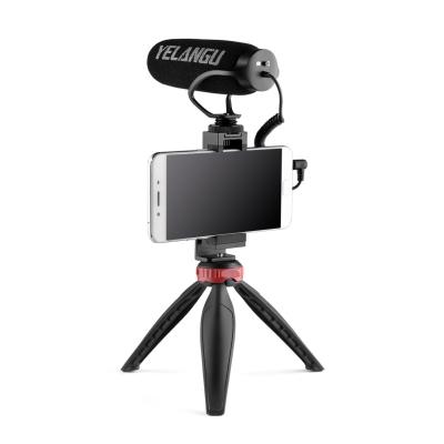 China Professional Shock Mount Video Recording Microphone Interview for DSLR Camera and Smartphone Live Broadcast for sale