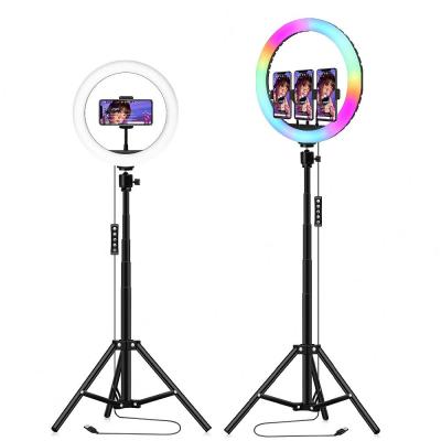 China Youtobe Live/Wholesale Studio USB Comestic 6 10 12 14 Circle Ring Selfie Led Photographic Light Kit Tripod Stand RGB 18 Inch Beauty Smartphone for sale