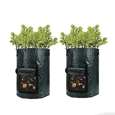 China Professional Factory Anti-UV/Fire/Rainproof/Dustproof/Breathable Hot Sale Lower Prices Grow Bags Suitable For Indoor Greenhouse for sale