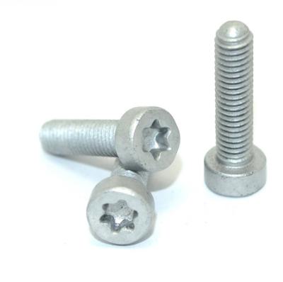 China Cheese Stainless Steel Hexagon Torx Screws for sale