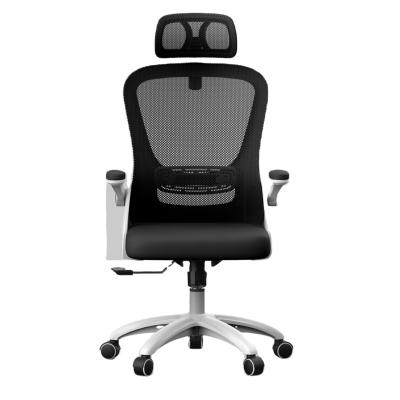 China 2021 Cheap High (Height) Adjustable Full Back Ergonomic Mesh Office Chair for sale