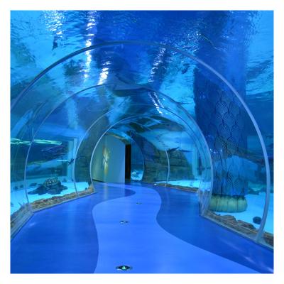 China Sustainable Large acrylic sheet for aquarium tunnel wholesale clear acrylic cylinder aquarium for sale