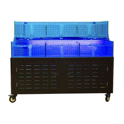 China Sustainable Live display tank seafood aquarium display customization oxygen pump seafood pool water tank retail for sale