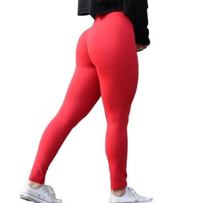 China Antibacterial Hot Selling Workout Clothing Best Workout Clothing Women Gym Running Pants for sale