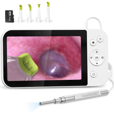 China Ear Otoscope Camera 3.9MM Ear Endoscope Medical Digital Home Instruments With 5 Inch Screen Rechargeable Ear Clean Otoscope for sale