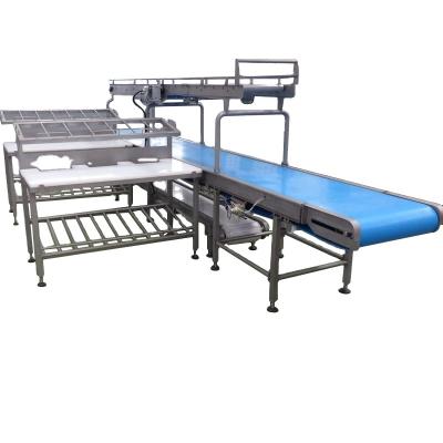 China Complete Hog Pig Slaughtering Line Pig Slaughterhouse Machinery with Butcher Equipment for Boar Pig for sale