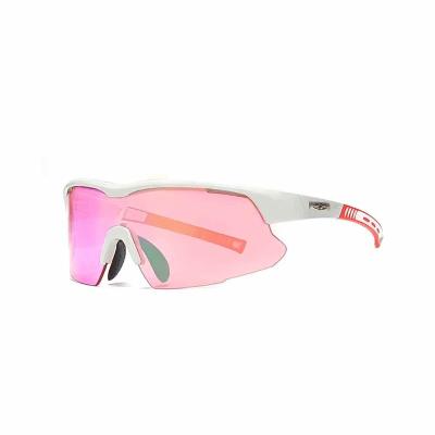 China Fashion Flexible Wholesale Men Sports Sunglasses Sport Windproof Sunglasses for sale