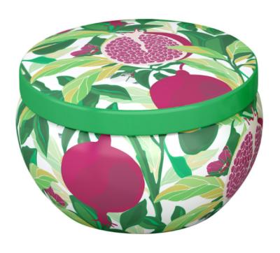 China Custom Handle Gift Lunch Tin Boxes Portable Tin Lunch Box à venda