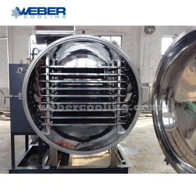 China Medicine Processing Fresh Meat Vacuum Freeze Drying With CE for sale