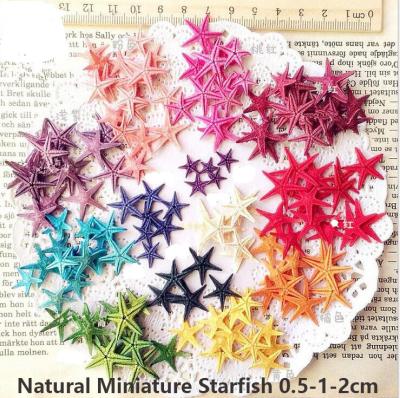 China Nail Art Studs 0.5cm Nail Decoration Nail Sticker 3d Ocean Tiny Natural Starfish | 2mm nail art nautical decoration for sale