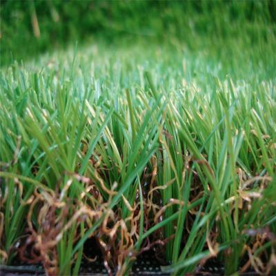 China Wholesale Plastic Plants Landscaping Synthetic turf Artificial garden grass supplier for sale