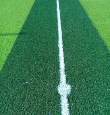 China Eastern Camel Futsal Fake grass Football artificial grass carpet for soccer outdoor sports for sale