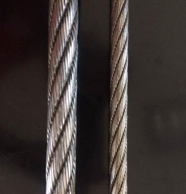 China Favorable price of steel wire rope anchor wire from china steel mill for sale