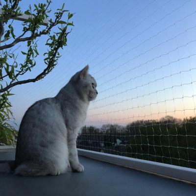 China Cat Safety Net Balcony Cat Protective Nylon Net Invisible Transparent Balcony Guard for sale