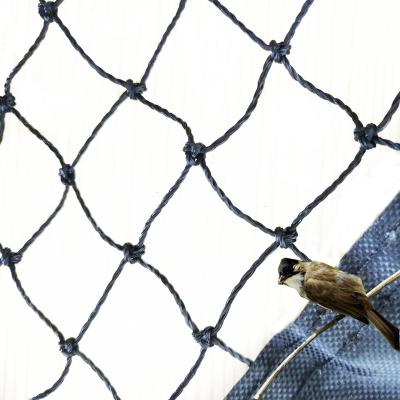 China Vegetable Protective Anti Bird Bird Net HDPE Netting Protective Netting for sale