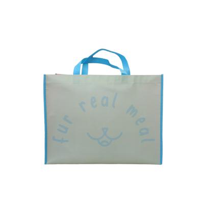 China Folding Promotional Ecological Non-woven Shopping Bag With Custom Printed Logo Eco-friendly Environment Transparent Pp Non Woven Bag for sale