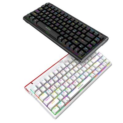 China Factory Price Tilt Adjustable Function Cheap Gaming Keyboards Usb Wired Three Mode RGB Switches Mechanical Gaming Keyboard for sale