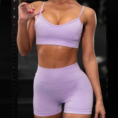 China New Style Ladies Breathable Sexy Gym Wear Seamless Tank Top Shorts Set Two Piece Exercise Women Yoga Suit Hit Lift Up Yoga Pants Set for sale