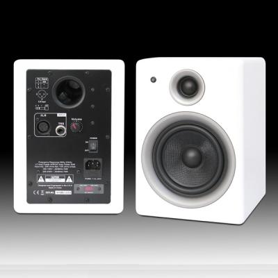 China CE Standard Studio Active Monitor D5 Indoor Dance Audio Speaker Pro for sale