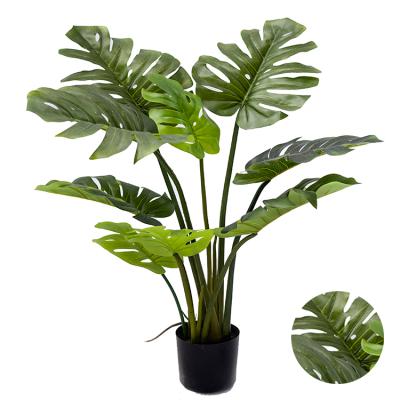 China Small Monstera Wedding Garden Artificial Leaves Quality Real Home Decorative Preserved Monstera Nataural Monstera for sale