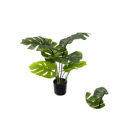 China See the details page for more Real Touch Information Premium Charm Plastic Monstera Plate Varigated Monstera Leaf For Decoration for sale