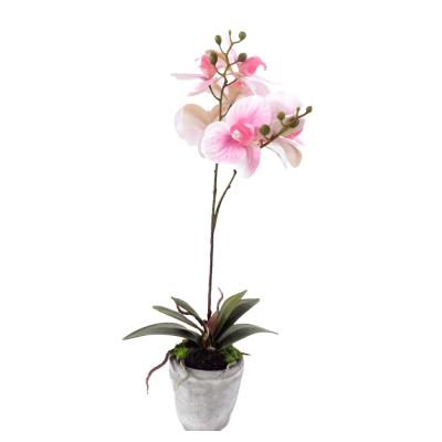 China Indor Decoration Artificial Flower With Vase Orchid Vivid Flower Real Touch Orchid Flower With Pot For Home Office Decorations for sale