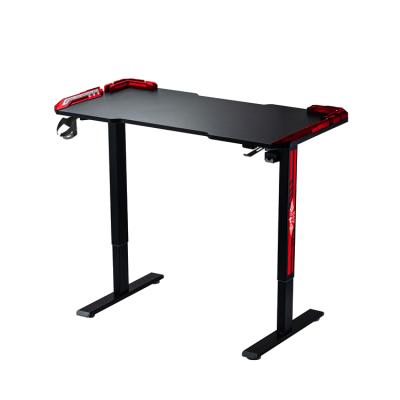 China Cheap Ergonomic Lifting Desk (Size) Adjustable Electric Sit Stand Desk Manufacturer Wholesale Custom for sale