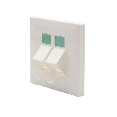 China Network Cabling System 86Type Beveled RJ45 Left Front Plate Cat6 Faceplate Wall Plate Dual Port 2 Socket 2 for sale