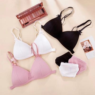 China Women Simple Sexy Underwear Water Bra Fashion Wire Free Bra And Brief Sets for sale