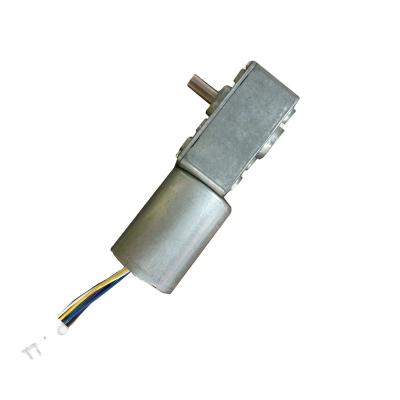 China Other Micro TT Motor Electric Motor 24v Small Worm Gear Motor for sale