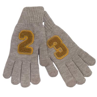 China LIANSHOU Single Factory Adult Men's Plus Winter Warm Fleece Single Finger Touch Screen Gloves & Number 